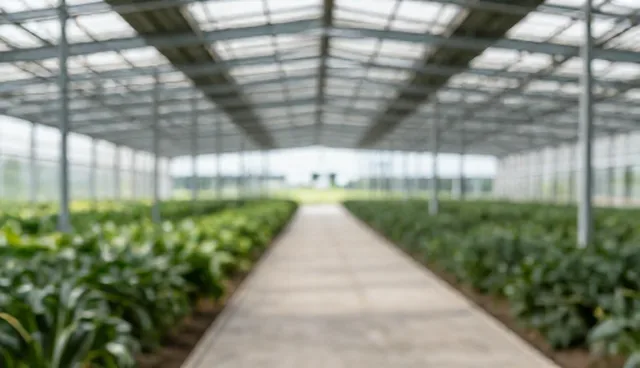 电商解决方案在使用与维护中的实际环节分析